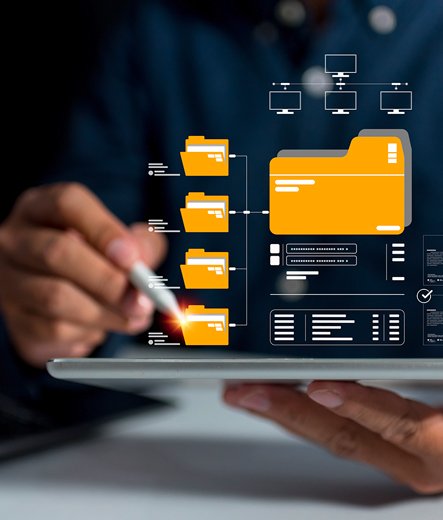 Arboriste inspectant et évaluant la santé d'un arbre dans un parc.