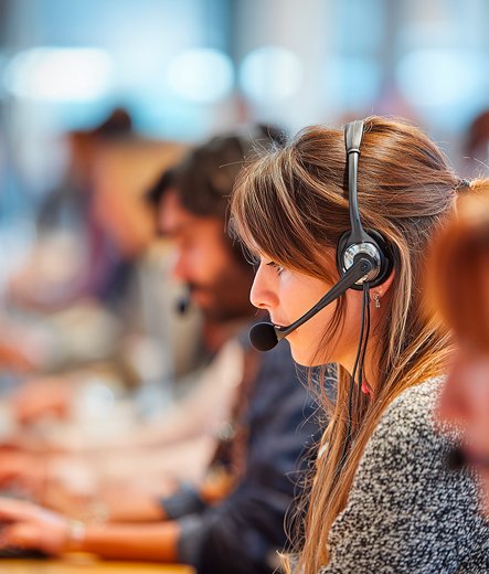 Arboriste utilisant une tablette pour planifier des soins aux arbres lors d'une prospection terrain.