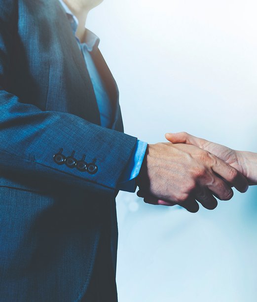 Arboristes qualifiés lors d'une consultation client sur un chantier